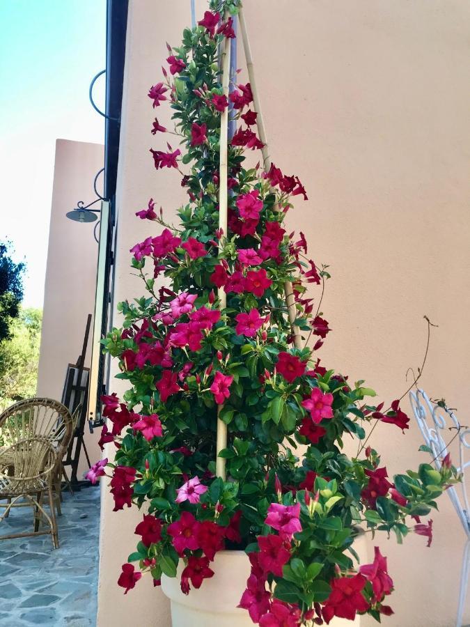 Le 25 Tartarughe Santa Teresa Gallura Exterior foto