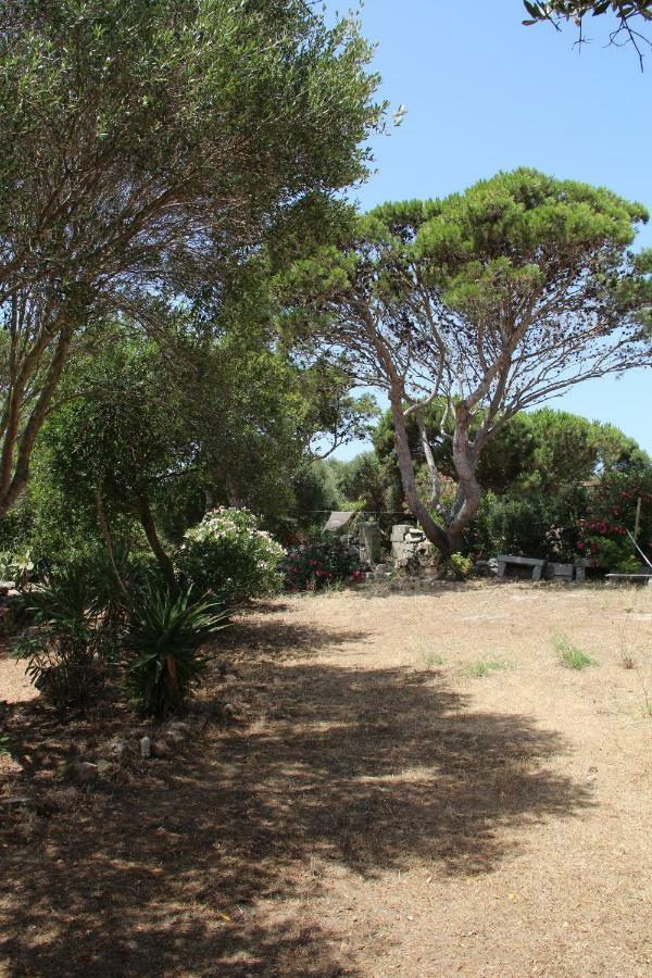 Le 25 Tartarughe Santa Teresa Gallura Exterior foto