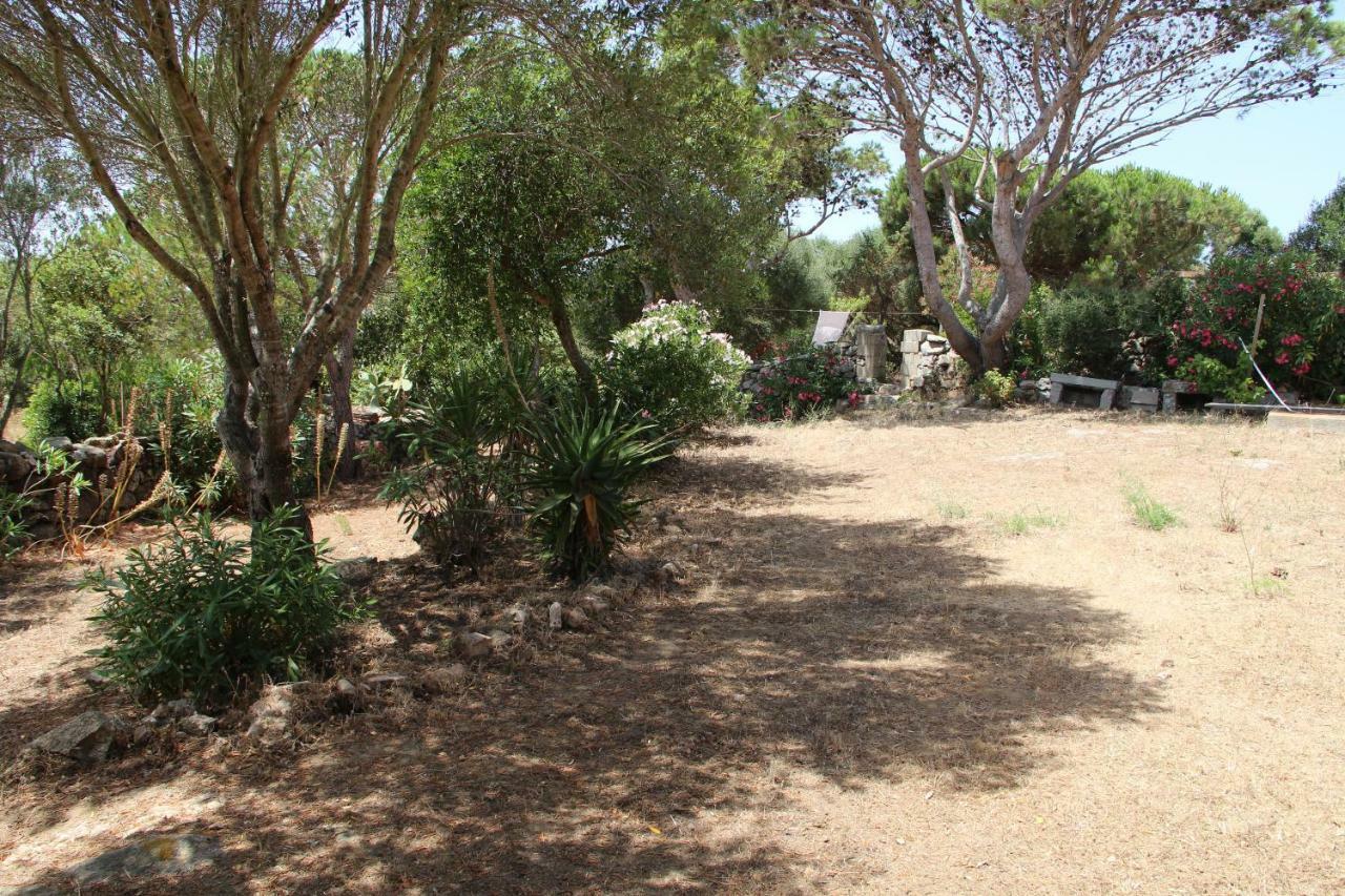 Le 25 Tartarughe Santa Teresa Gallura Exterior foto