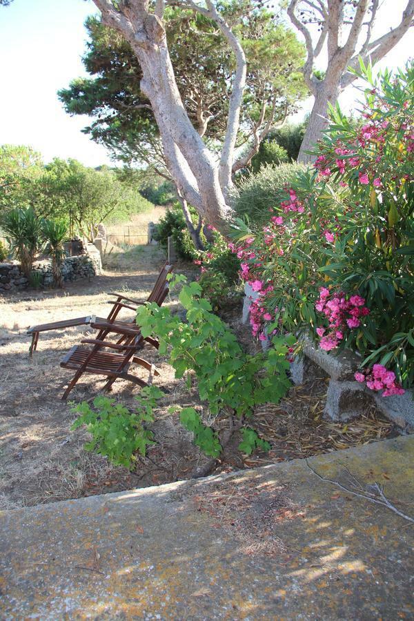 Le 25 Tartarughe Santa Teresa Gallura Exterior foto