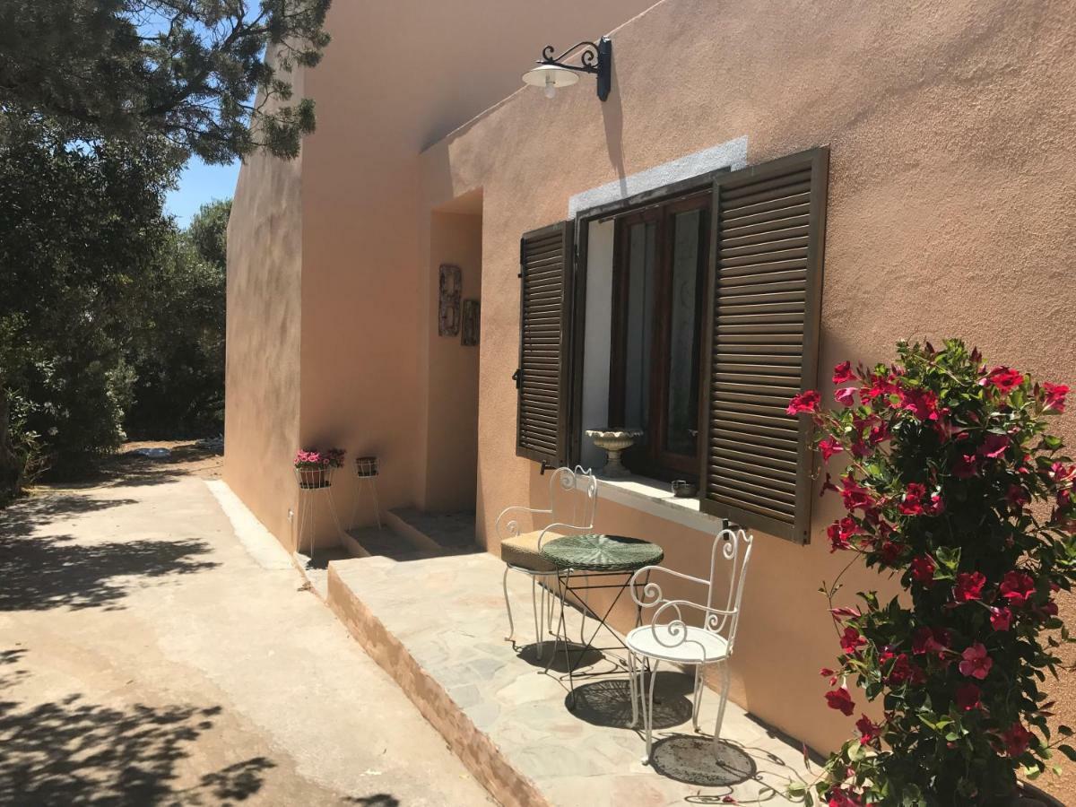 Le 25 Tartarughe Santa Teresa Gallura Exterior foto